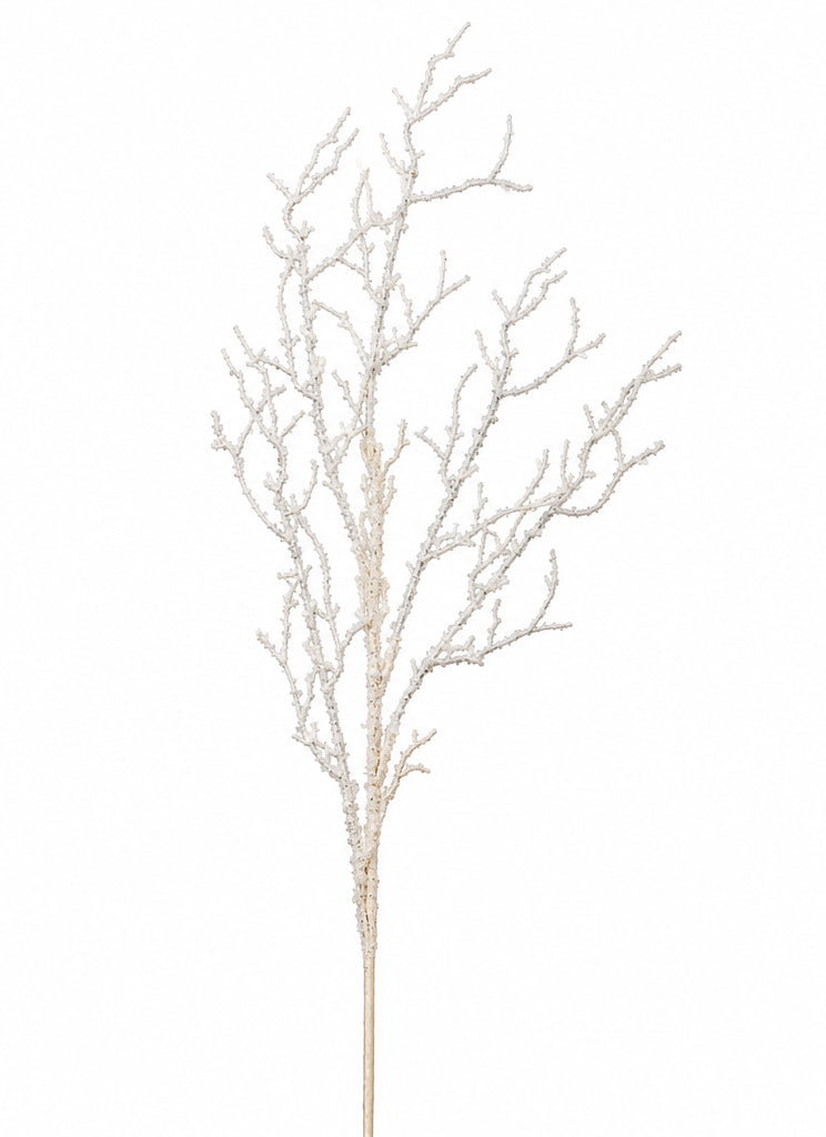 36" Iced White Willow Branch