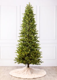 Douglas Fir Christmas Tree