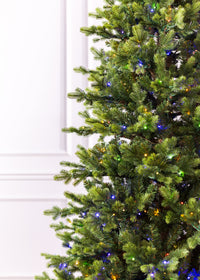 Douglas Fir Christmas Tree