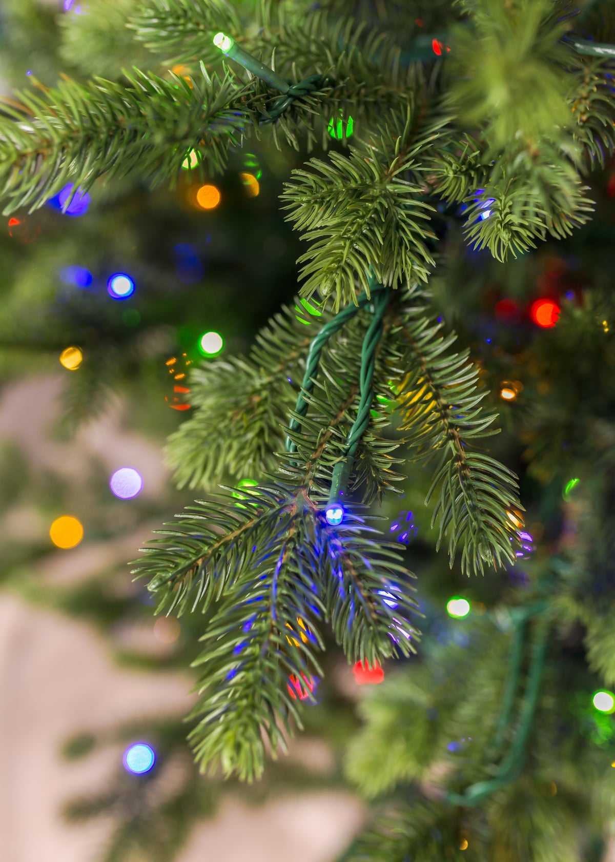 Douglas Fir Christmas Tree