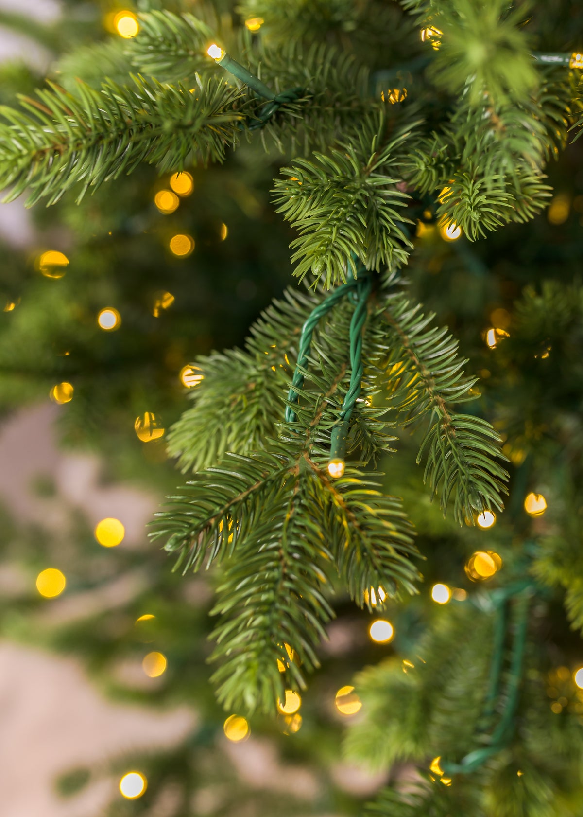 Douglas Fir Christmas Tree