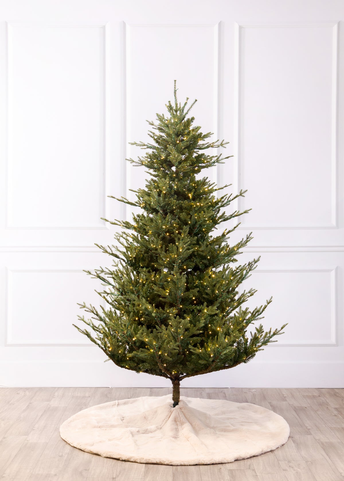 Williamsburg Fraser Fir Christmas Tree