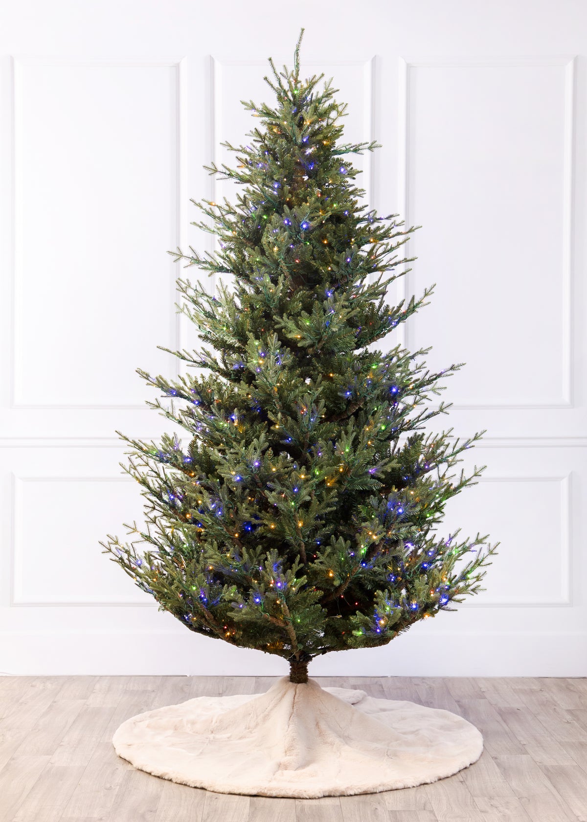 Williamsburg Fraser Fir Christmas Tree