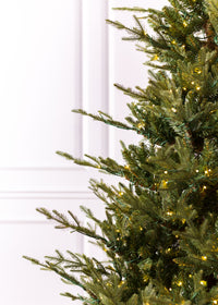 Williamsburg Fraser Fir Christmas Tree