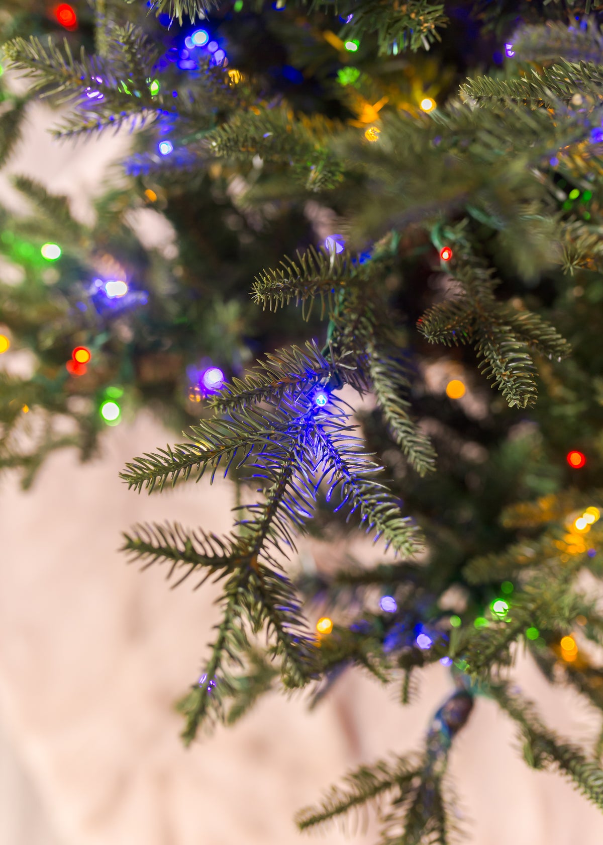 Williamsburg Fraser Fir Christmas Tree