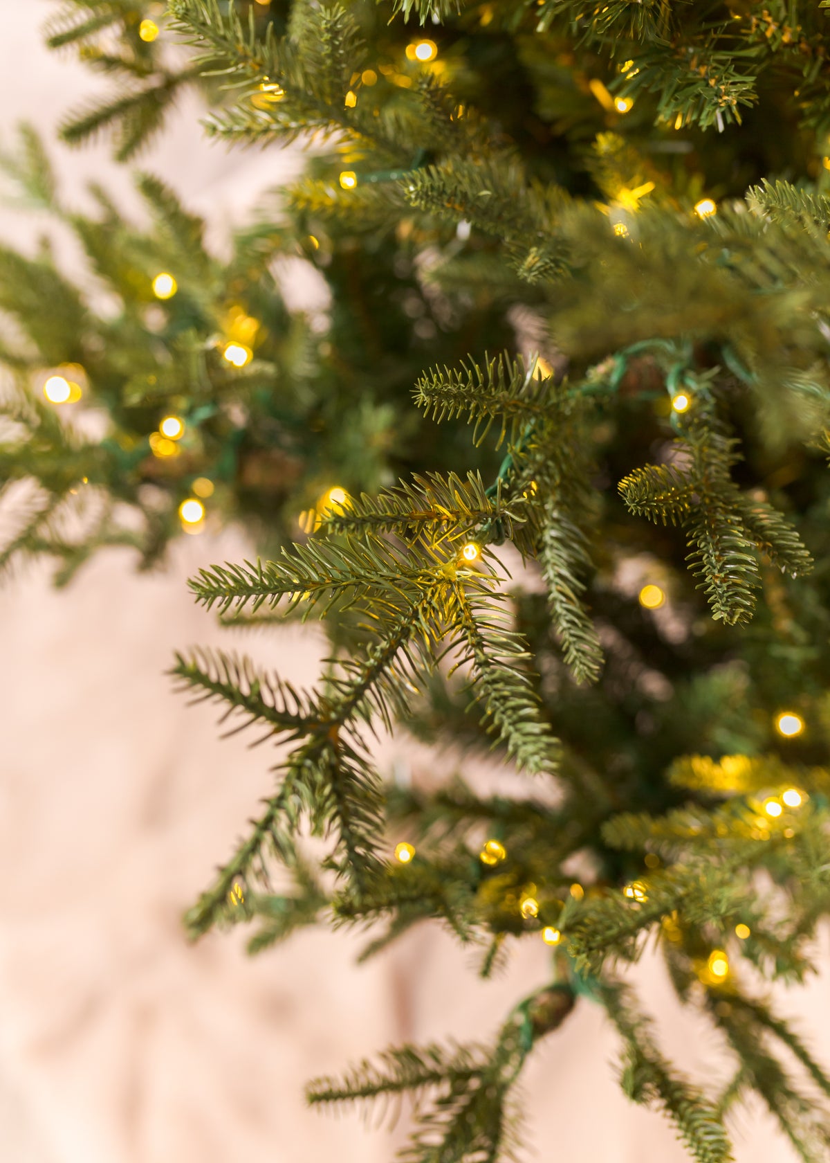 Williamsburg Fraser Fir Christmas Tree