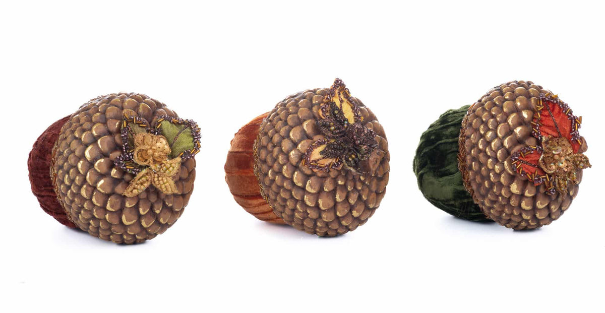 Harvest Forage Acorns, Assoted- Katherine's Collection