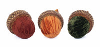 Harvest Forage Acorns, Assoted- Katherine's Collection