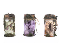 Broomstick Acres Potion Jars Assorted - Katherine’s Collection