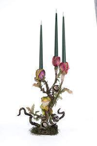 Enchanted Plant Candleabra - Katherine's Collection