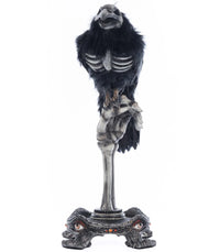 Crow On Skeleton Hand Perch - Katherine's Collection