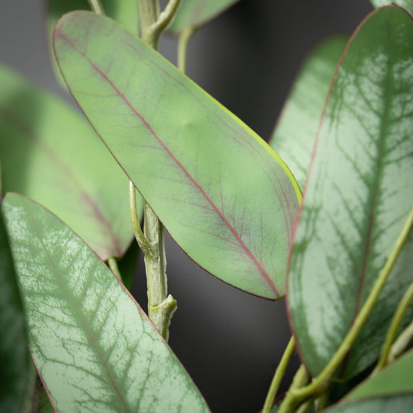 Green Eucalyptus Blade Spray Assorted