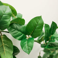 6' Green Salal Garland