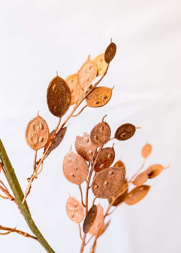 26" Cooper Silver Dollar Spray (CLR)