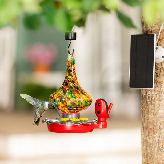 Hummingbird Feeder Solar/Smartphone (CLR)