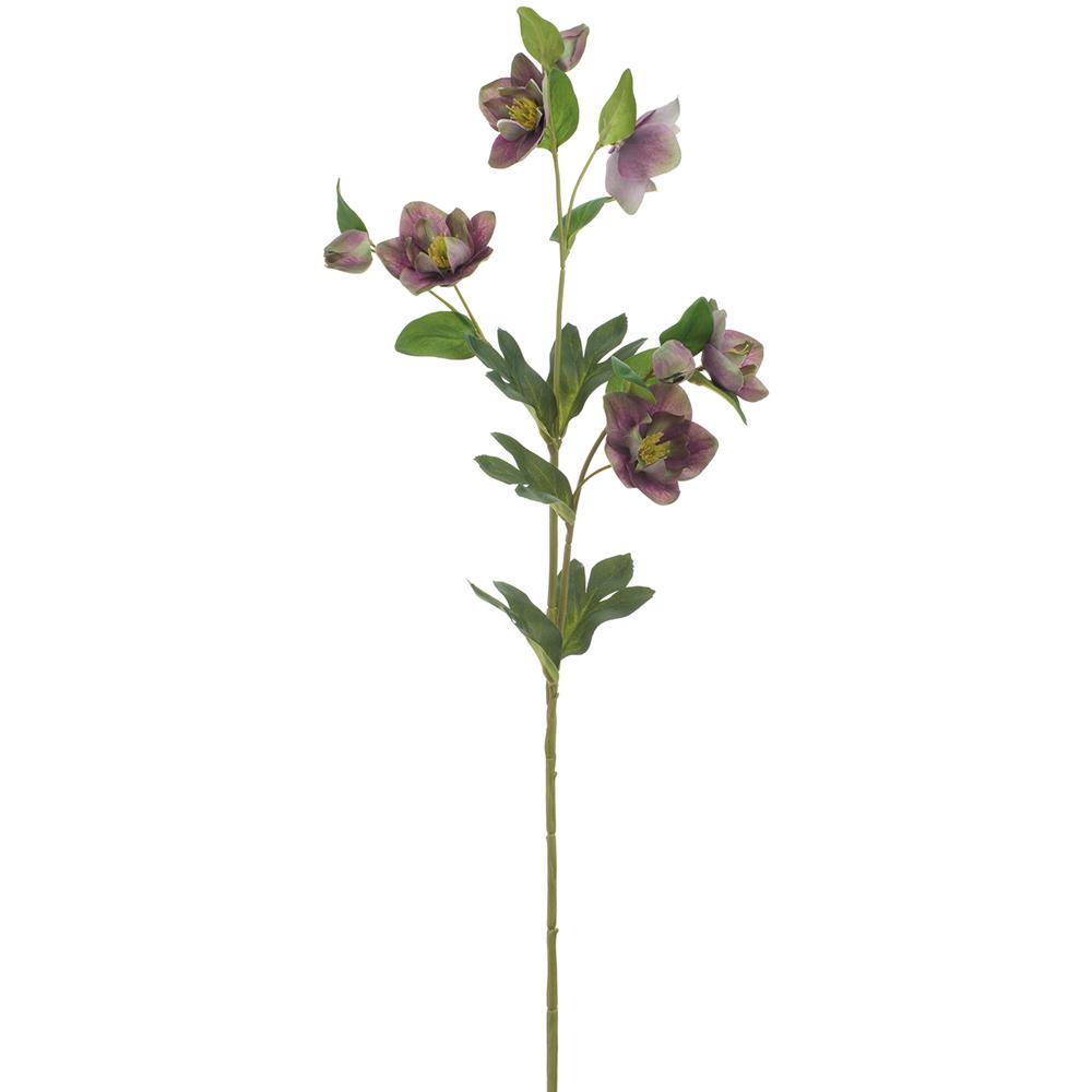 31" Purple/Green Helleborus Spray