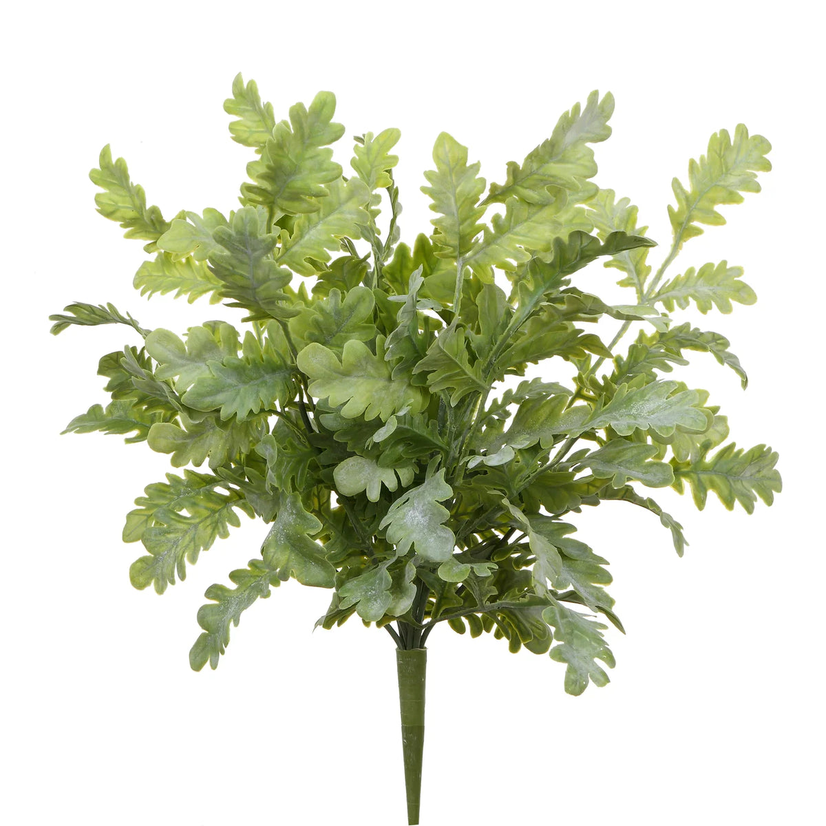 18" Grey/Green Dusty Miller Bush