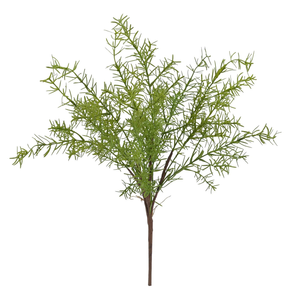 Bush Springeri 18" Green
