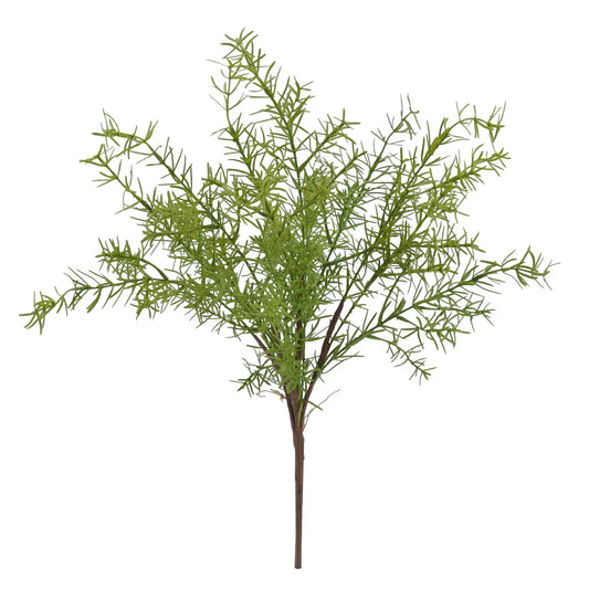 Bush Springeri 18" Green