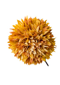 Allium 26" Brown