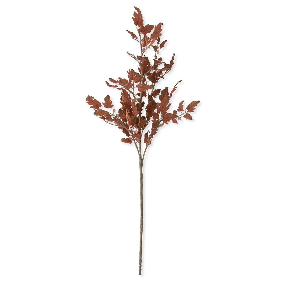 45" Fall Oak Branch