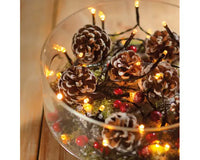 563" Black/Warm White Lights Durawise LED 8-Function Twinkle