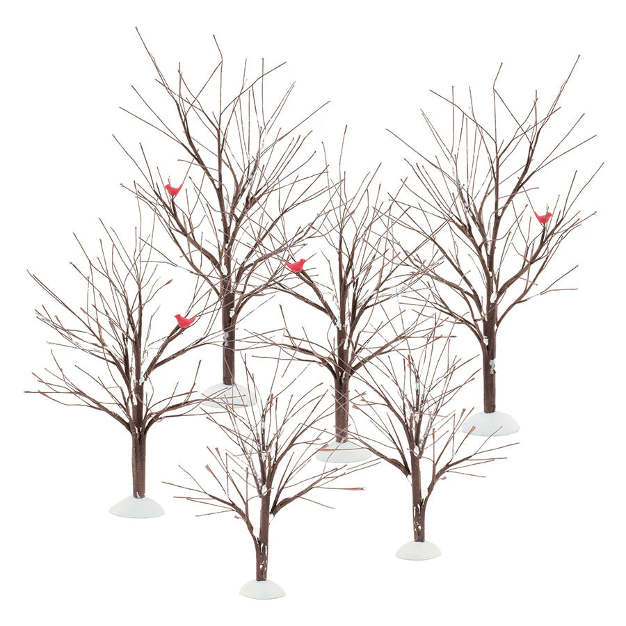 Bare Branch Trees