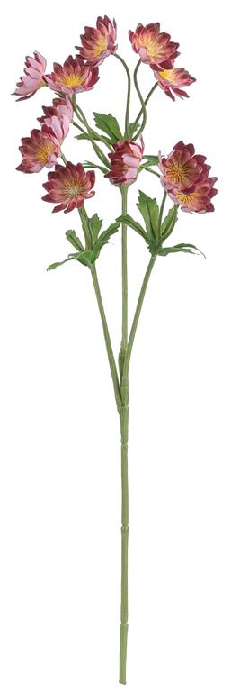 25.5" Burgundy/Pink Lewisias Spray