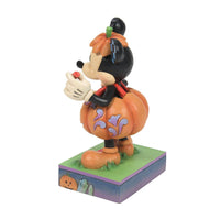 Disney Traditions Mickey Pumpkin Costume