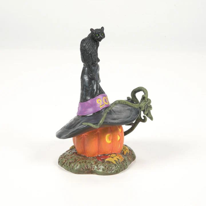 Feline Noir 2025 - Thumbnail 2