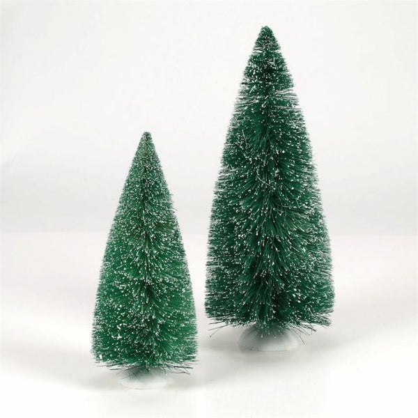 Blue Spruce Pine Set of 2
