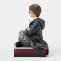 Harry Potter with Wand - Harry Potter Collection