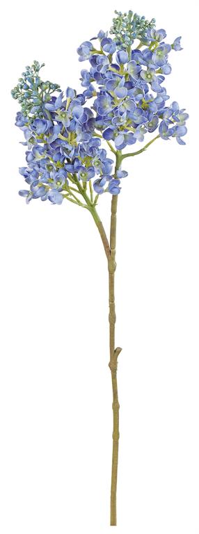 29.5" Blue Natural Lilac Spray