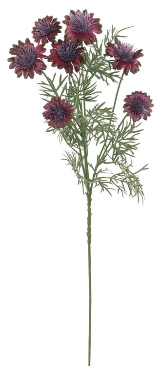 37" Plum Cosmos Spray