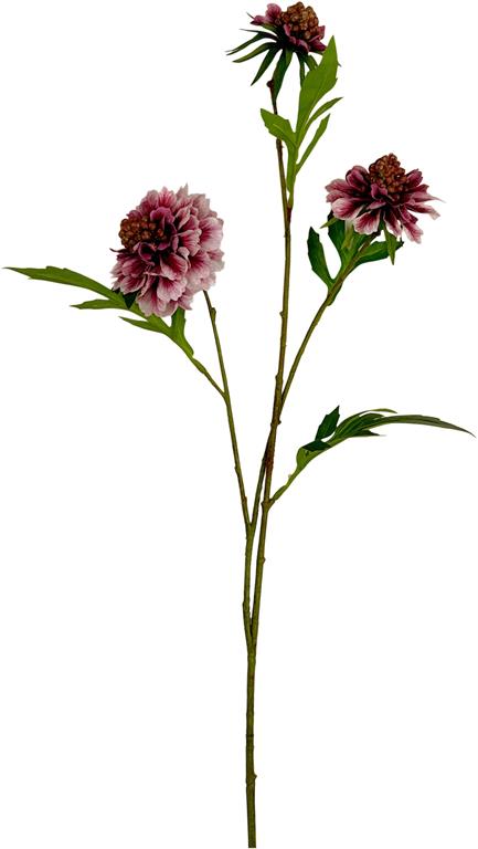 23" Wine/Pink Scabiosa With Bud Spray