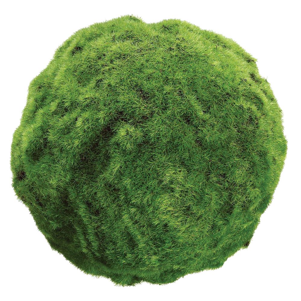 7" Green Moss Ball