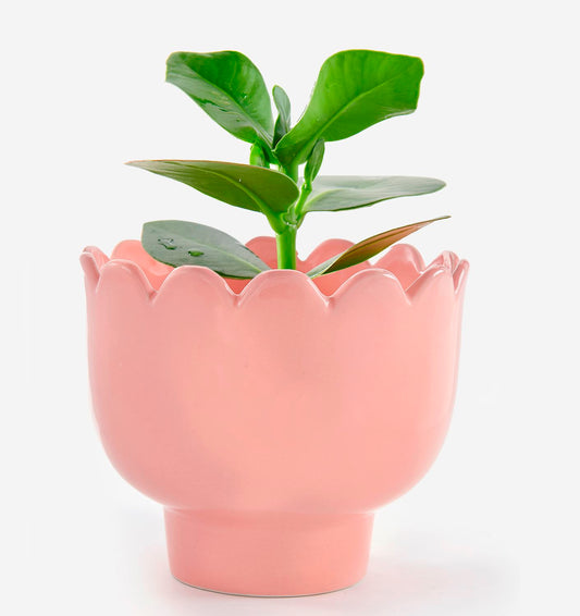 Light Pink Flower Shape Planter