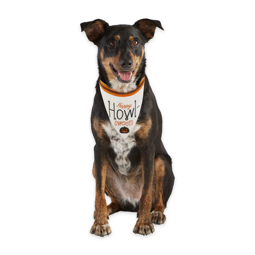 Howl-Oween Pet Bandana