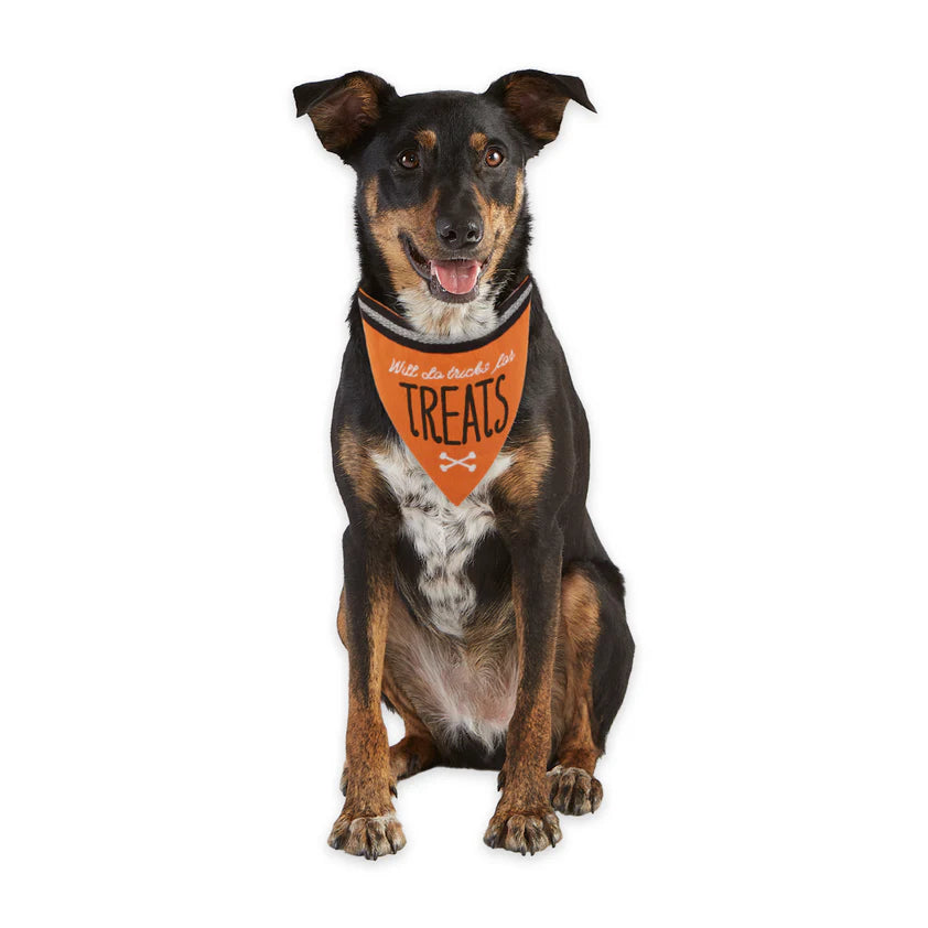 Howl-Oween Pet Bandana