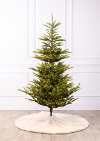 Norwegian Spruce Christmas Tree