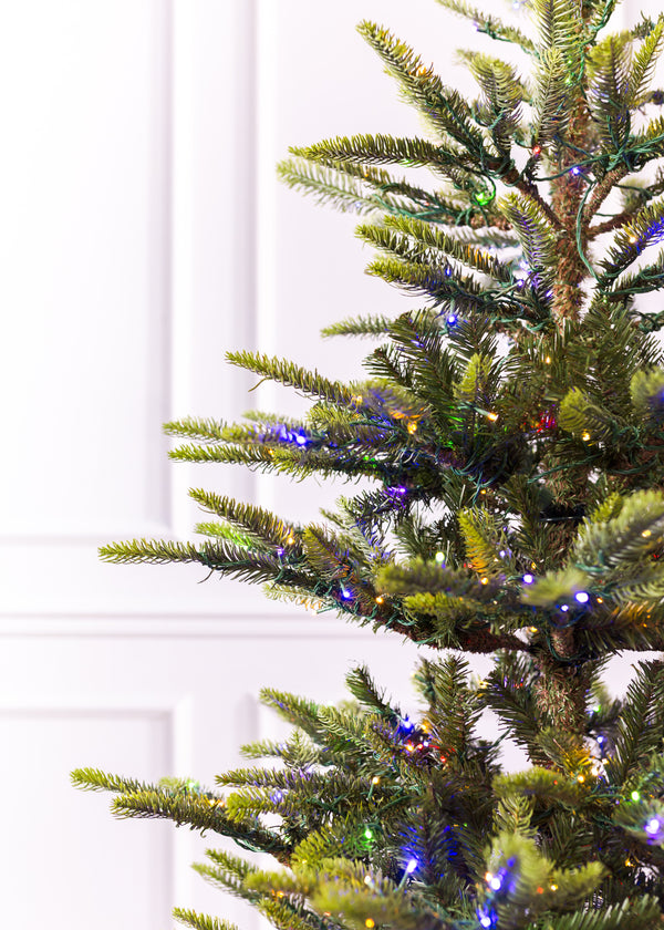 Norwegian Spruce Christmas Tree
