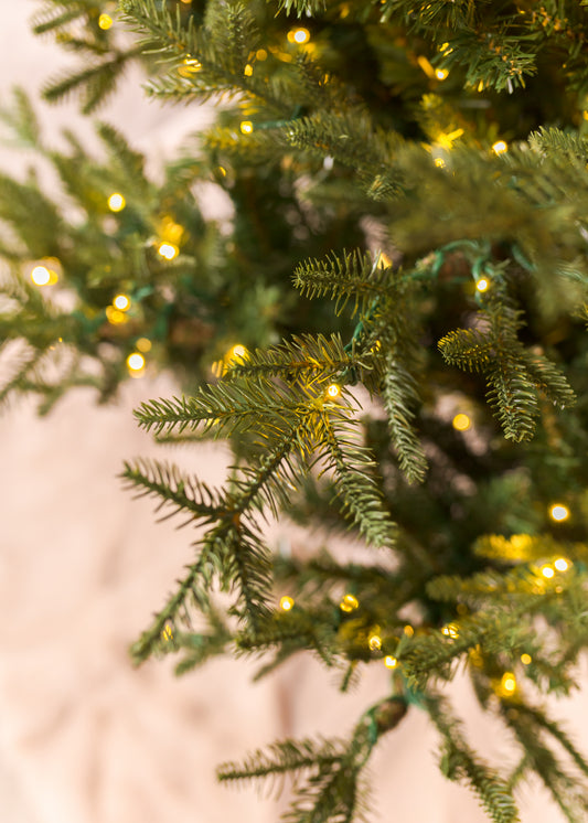 Norwegian Spruce Christmas Tree