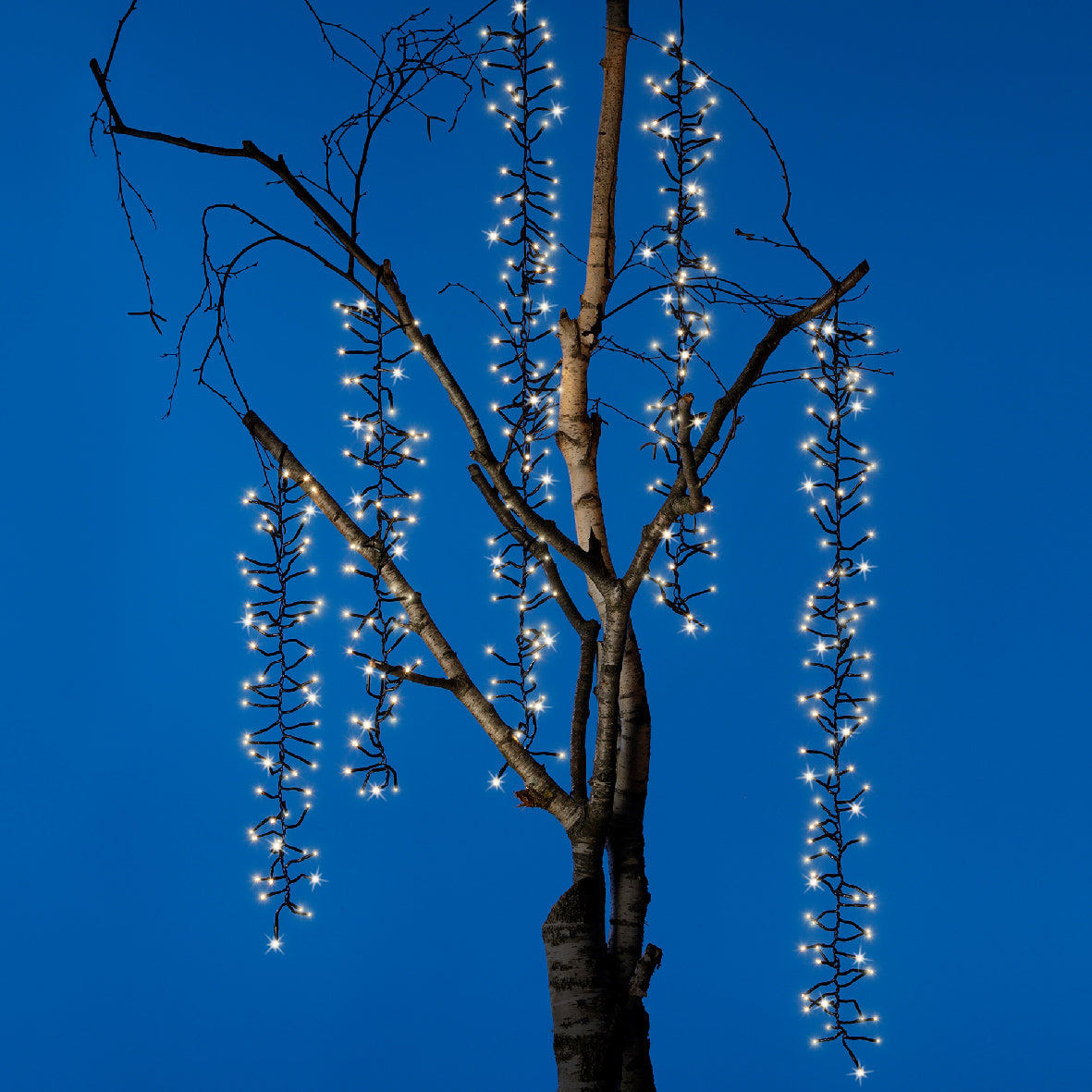 8-Function Twinkle Cascade Cluster Lights