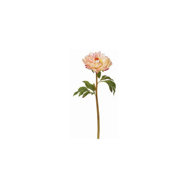 20" Peach Peony Flower