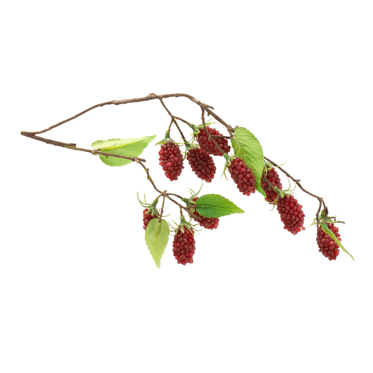 24" Raspberry Vine