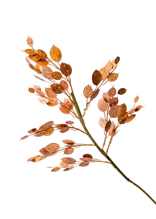 26" Cooper Silver Dollar Spray (CLR)