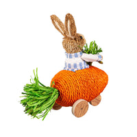 Bunny In Carrot Car, Set of 2