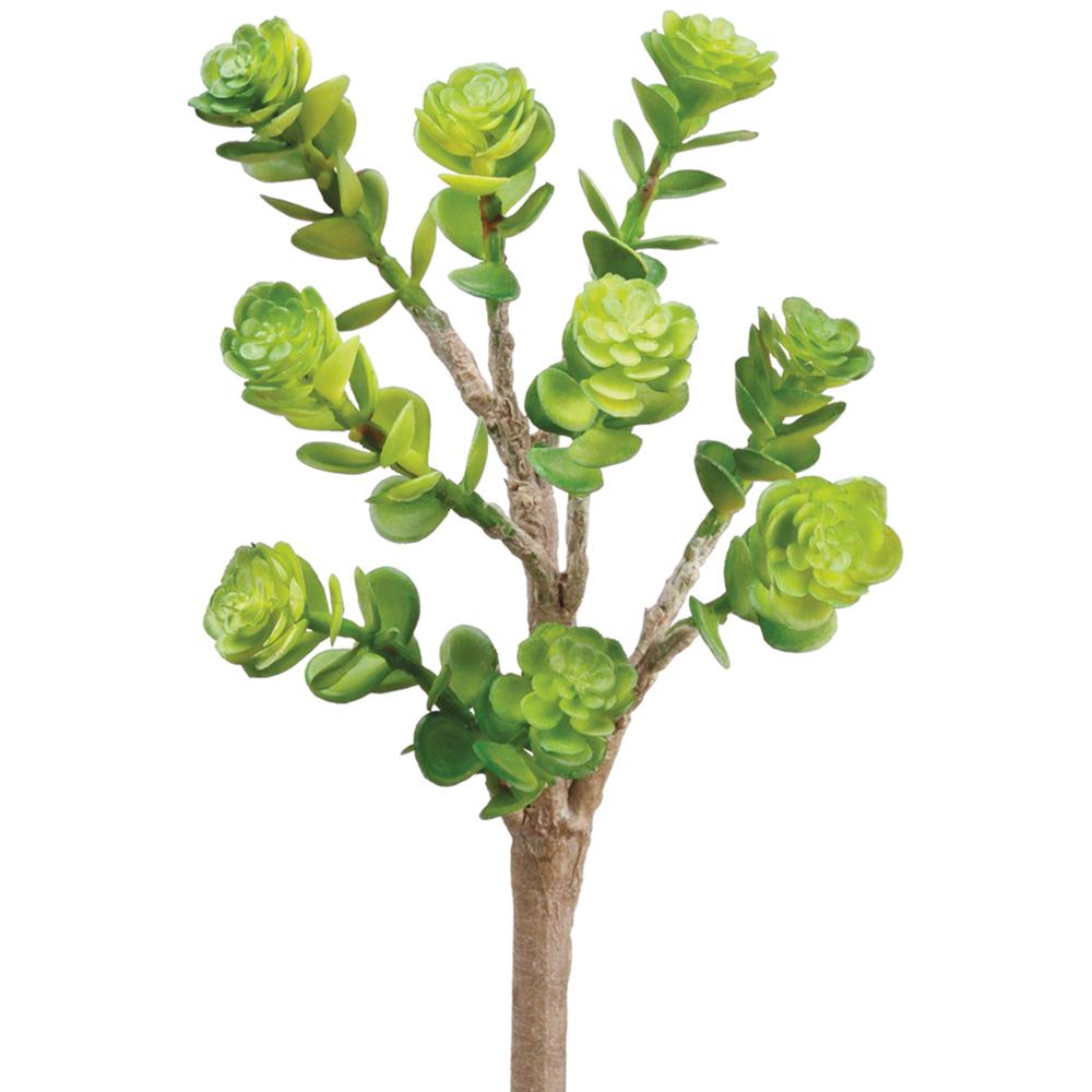 9" Green Sedum Pick