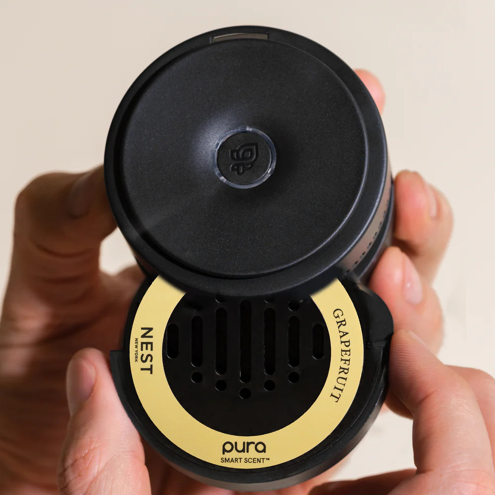 Nest Grapefruit Pura Car