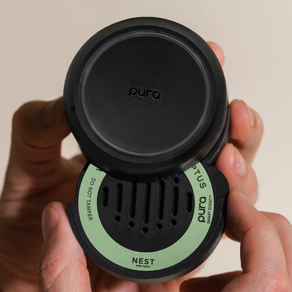 Nest Wild Mint & Eucalyptus Pura Car